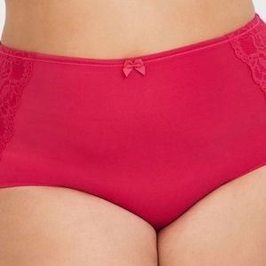 Watermelon Pink Microfiber Sexy Panty (Torrid 6)